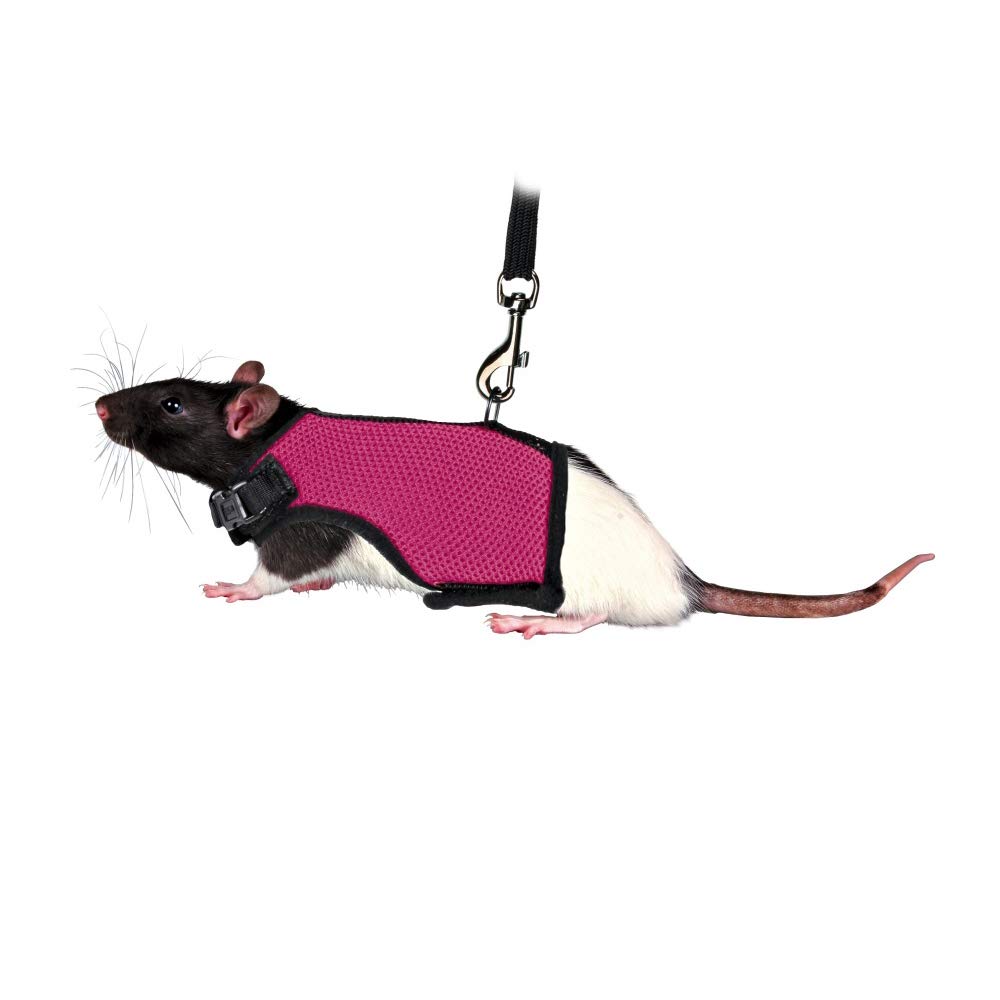 小動物ハーネスオーダー受け付け 楽天市場】【☆期間限定！P5倍+400円OFF】伸縮リード 一体型